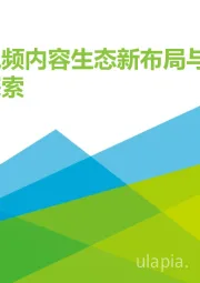 2020年H1搜狐视频内容生态新布局与价值探索