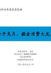 【东吴社服】2020年四季度投资策略：云开见月，掘金消费大龙头