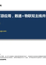 掘金5G下游应用，数通+物联双主线并进