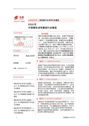 2019年中国锂电池电解液行业概览