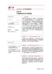 2019年中国锂电池行业市场研究