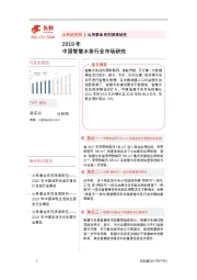 2019年中国智慧水务行业市场研究