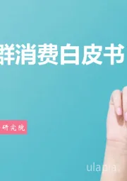 消费行业：90后人群消费白皮书