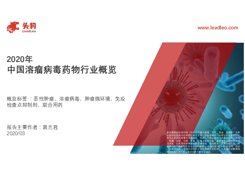 2020年中国溶瘤病毒药物行业概览