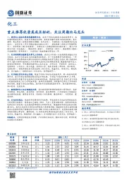 化工行业周报：重点推荐优质高成长标的，关注周期白马龙头