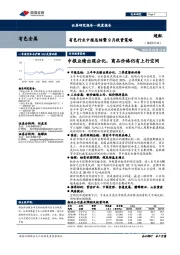 有色行业中报总结暨9月投资策略:中报业绩出现分化,商品价格仍有上行空间