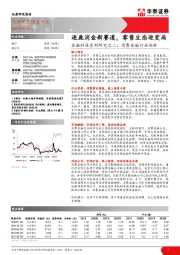 金融科技系列研究之二：消费金融行业剖析：逐鹿消金新赛道，零售生态迎变局