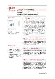 2019年中国软件开发服务行业市场研究