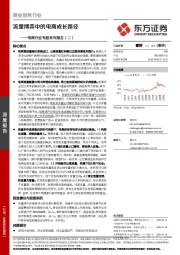 电商行业专题系列报告（二）：流量博弈中的电商成长路径