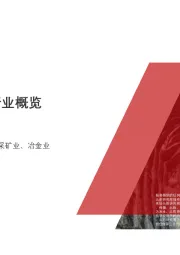 2019年中国铅矿石行业概览