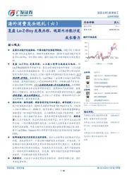 家用轻工行业：海外消费龙头巡礼（六）：复盘La-Z-Boy发展历程，观国内功能沙发成长潜力