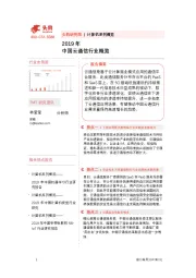 计算机系列概览：2019年中国云通信行业概览