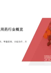 2020年中国肠胃疾病用药行业概览