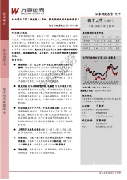 电子行业周观点:珠海将出“芯”政支持IC产业,雅克科技成为并购转型样本