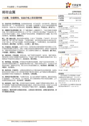 稀有金属-小金属：收储落地，钴盐价格上涨有望持续