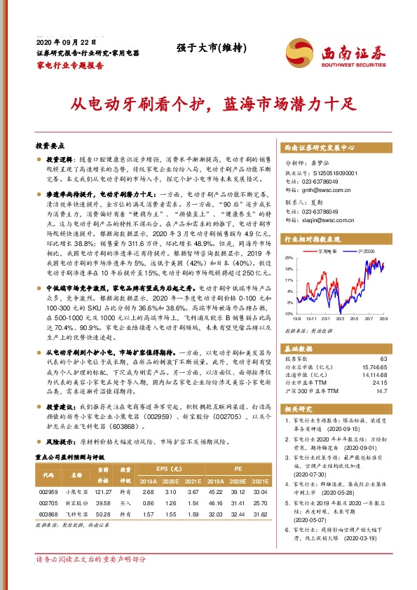 家电行业专题报告：从电动牙刷看个护，蓝海市场潜力十足