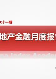房地产金融月度报告2020年8月第六十一期