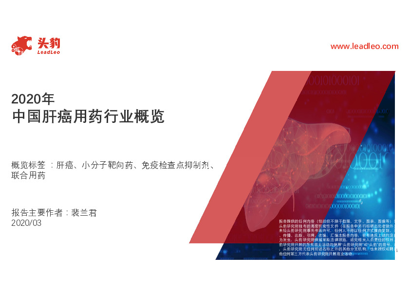 2020年中国肝癌用药行业概览