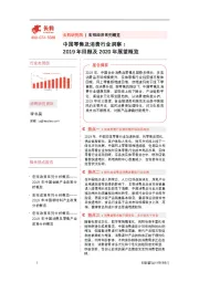 中国零售及消费行业洞察:2019年回顾及2020年展望概览