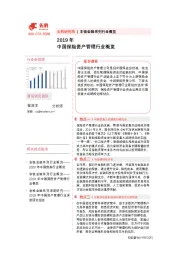 2019中国保险资产管理行业概览