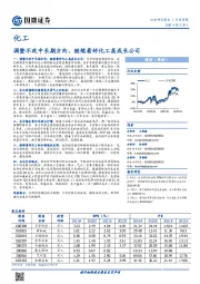 化工行业周报：调整不改中长期方向，继续看好化工高成长公司