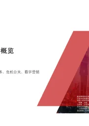 2020年中国公关行业概览