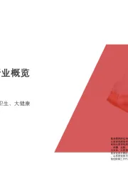 2019年中国洗手液行业概览