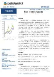 TMT行业周报2020年第31期（总第115期）：聚焦新一代信息技术产业提质增效