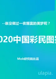 互联网：2020中国彩民图鉴-谁没做过一夜爆富的美梦呢？