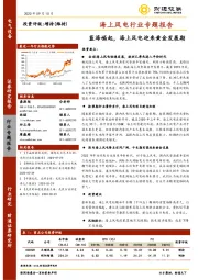 海上风电行业专题报告：蓝海崛起，海上风电迎来黄金发展期