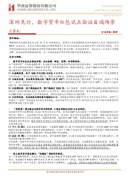 计算机行业点评报告：深圳先行，数字货币红包试点验证G端场景
