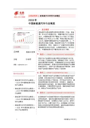 2019年中国新能源汽车行业概览