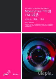 MoneyTreeTM中国TMT报告