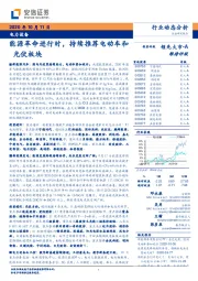 电力设备行业动态分析：能源革命进行时，持续推荐电动车和光伏板块