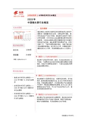 2019年中国维生素行业概览