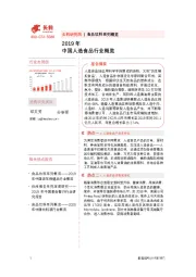 2019年中国人造食品行业概览