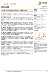 稀有金属行业研究周报:小金属:国内外新能源市场回暖,钴锂需求增加