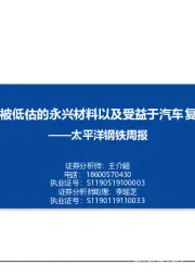 太平洋钢铁周报：关注锂电业务被低估的永兴材料以及受益于汽车复苏的宝钢股份