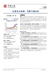 大消费深度报告：社零同比转增，消费平稳向好