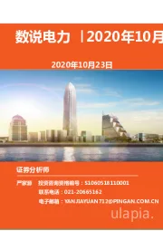 2020年10月刊：数说电力