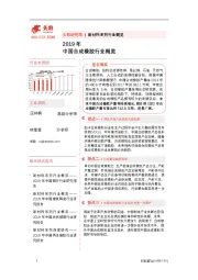 2019年中国合成橡胶行业概览
