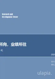 有色金属行业专题：锂：估值所向，业绩所往