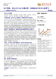 电子周报：重点公司Q3业绩优秀，短期波动不改行业高景气——《周观点》系列