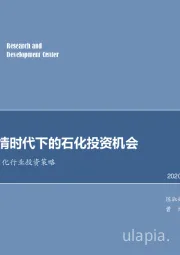 2021年石化行业投资策略：寻找后疫情时代下的石化投资机会