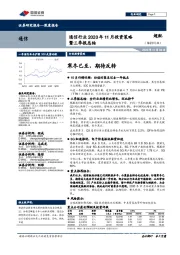 通信行业2020年11月投资策略暨三季报总结：寒冬已至，期待反转