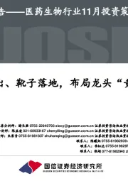 医药生物行业11月投资策略：政策迭出、靴子落地，布局龙头“黄金坑”