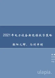 2021年电力设备新能源投资策略：朝阳之晖，与时并明