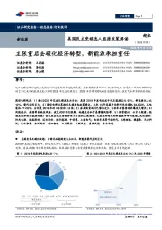 新能源行业：美国民主党候选人能源政策解读：主张重启去碳化经济转型，新能源承担重任