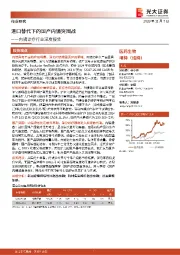 内镜诊疗行业深度报告:进口替代下的国产内镜突围战