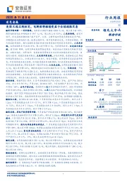 有色金属行业周报：美国大选尘埃初定，电解铝将继续受益于全球通胀交易